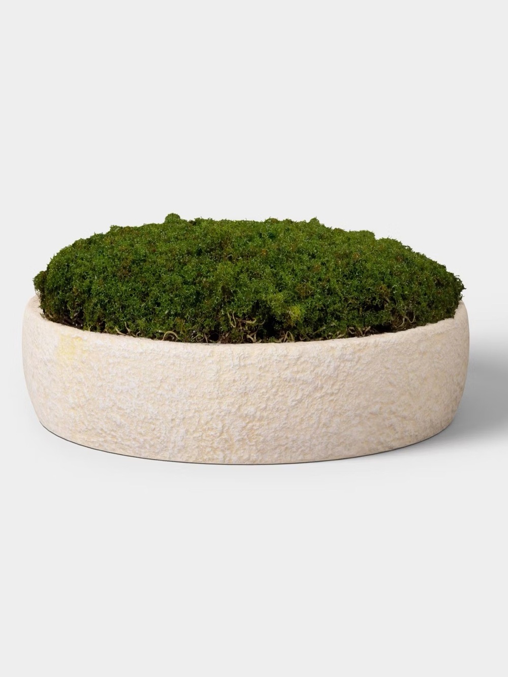 Laptop arrangement Small Moss Bowl - Threshold